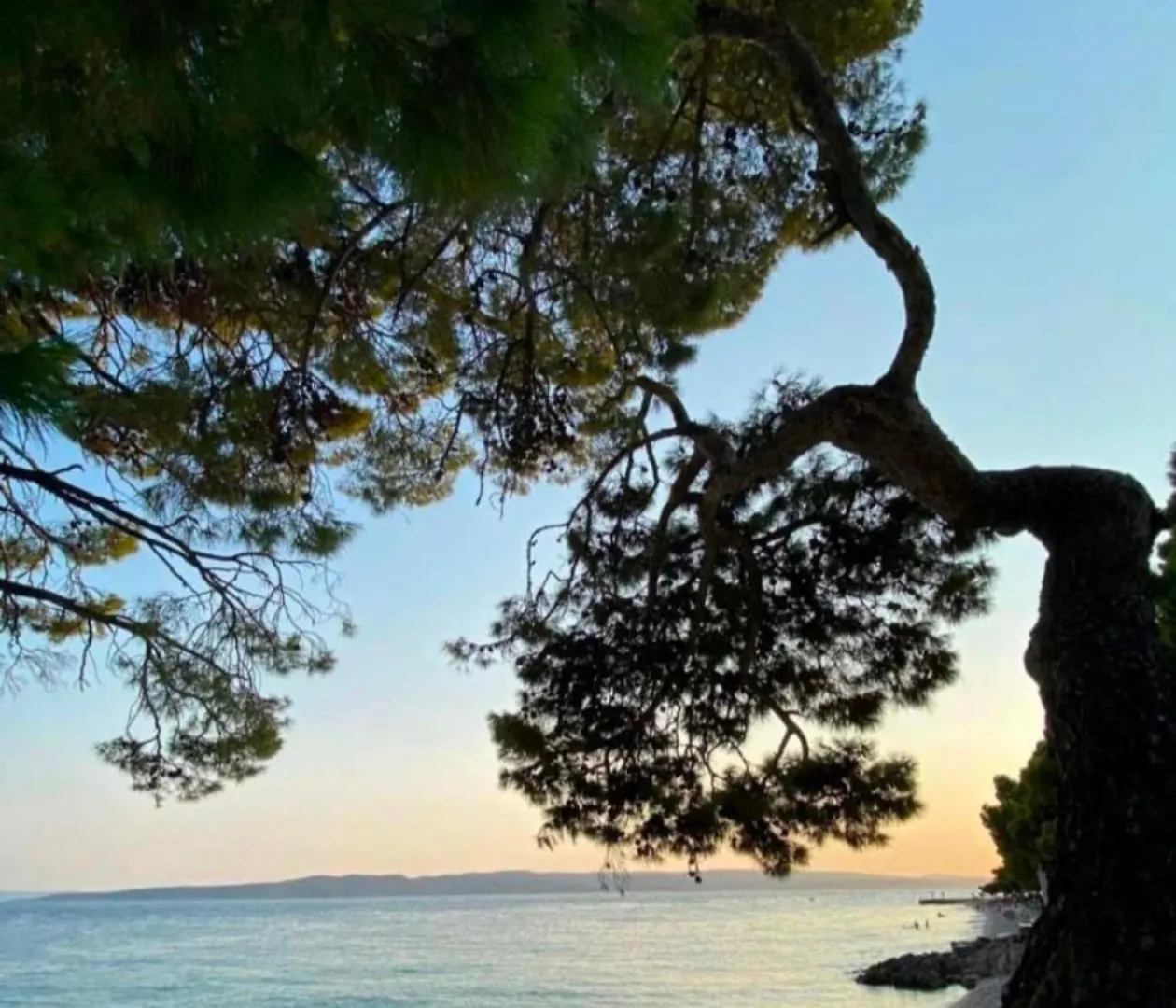 Schoenes Ferienhaus Mit Pool Biograd Na Moru Guest house